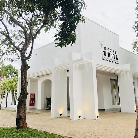 فندق Royal White Tourist Rest أنرادابورام المظهر الخارجي الصورة