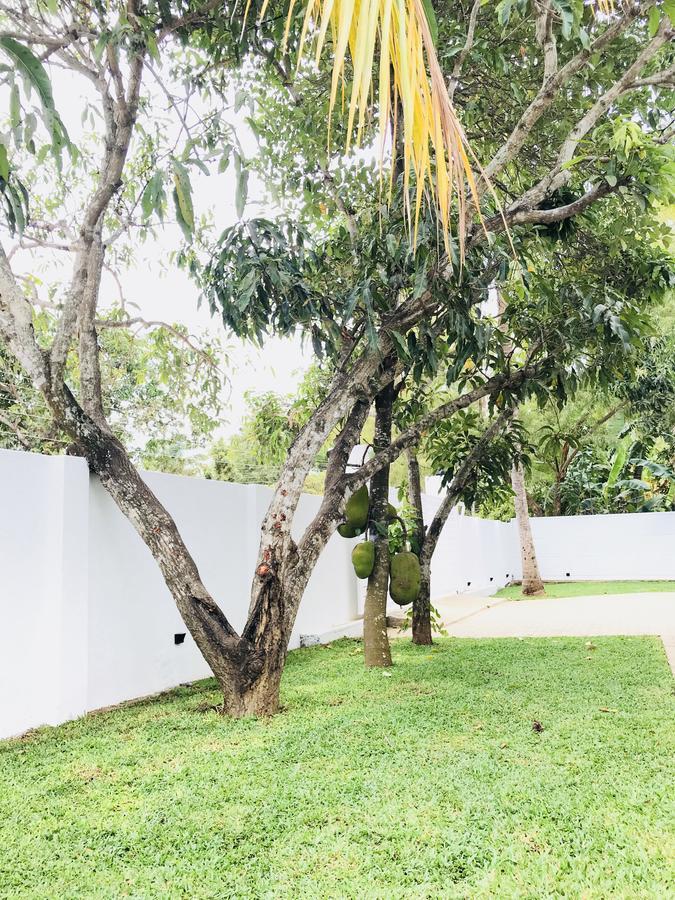 فندق Royal White Tourist Rest أنرادابورام المظهر الخارجي الصورة
